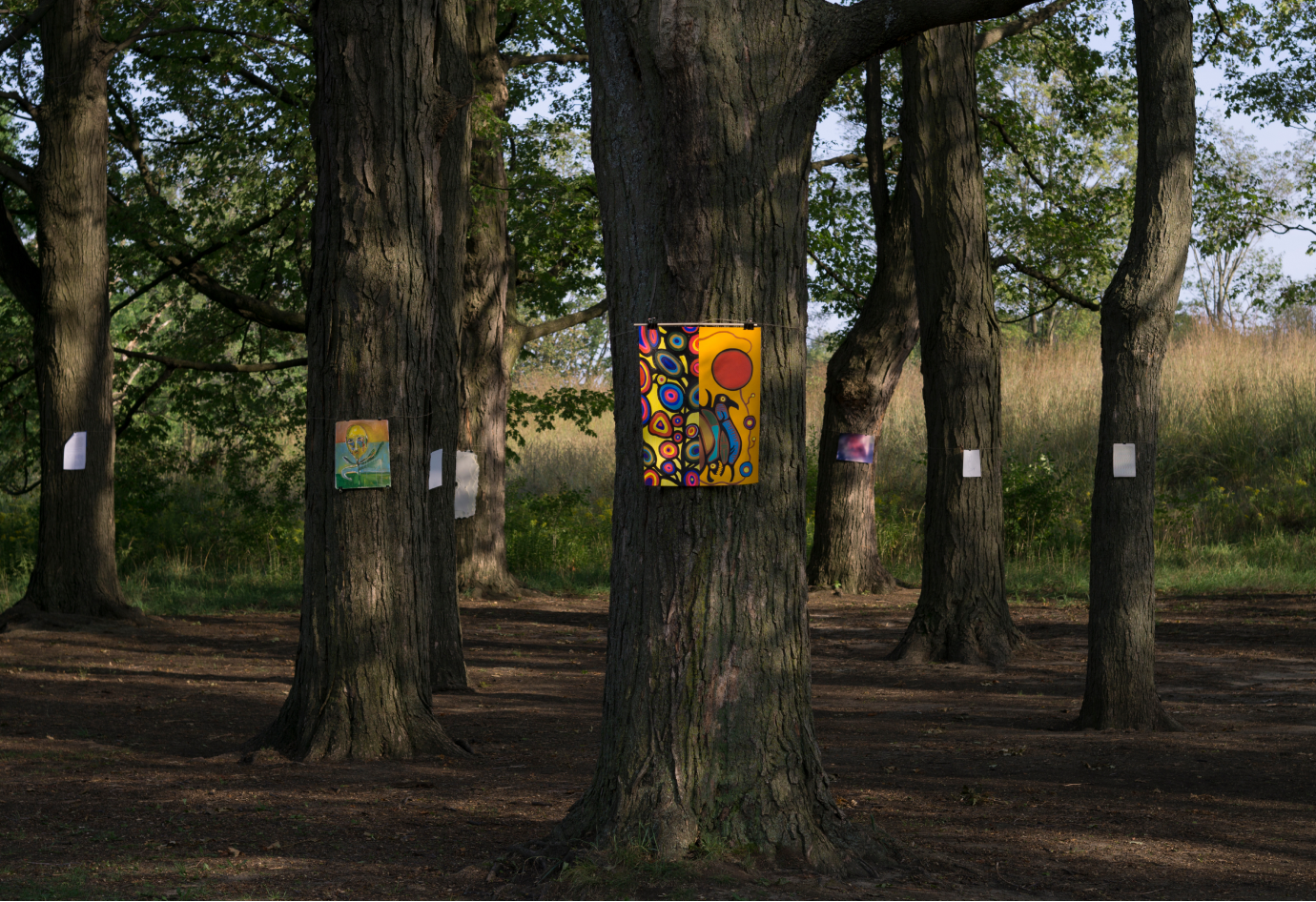Pumice Raft group exhibition outside in High Park Labyrinth, artwork has been hung on trees